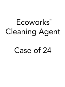 Ecoworks Cleaning Agent (24 Pack)